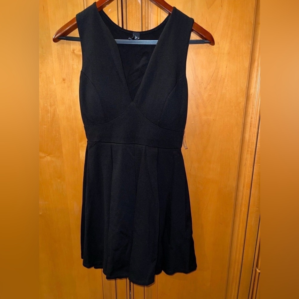 Sleeveless Black V-Neck Skater Dress